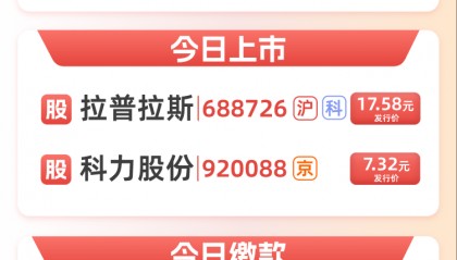 新华制药股票(新华制药股票还会继续涨吗)