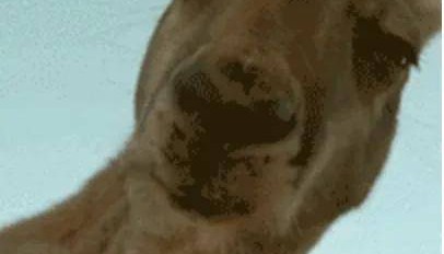 “U币”不行了，所以“USDT币”上？