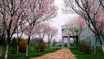 吉林省电大中专正规的吗