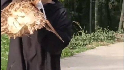 妹子挖到“巨型竹笋”被全网嘲笑：怎么挖笋才不闹笑话？