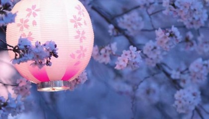 电大中专正规的吗