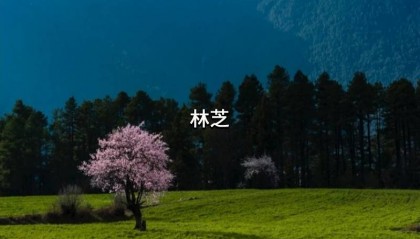 拉萨正规的导游如何联系？正规的西藏七日游跟团攻略