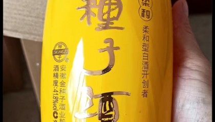 金种子酒股票(金种子酒股票前景怎么样)