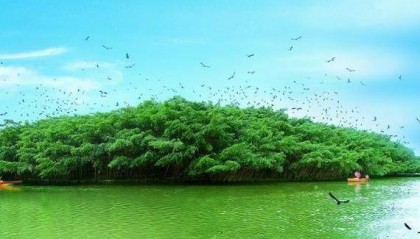 新会最火的三个景点