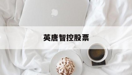 英唐智控股票(英唐智控股票最新消息)
