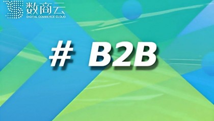 详解数商云B2B平台搭建费用，打造高效交易平台！