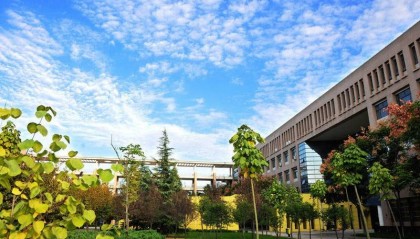 中央电中正规的吗