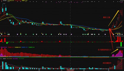 新华联股票(新华联股票行情)