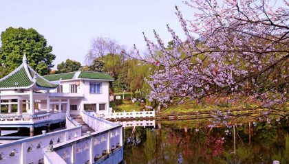 长春市电大中专正规的吗（消息）