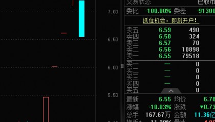 九阳股份股票(九阳股份股票怎么样)