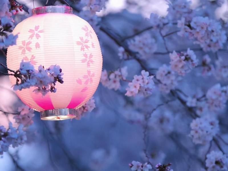 电大中专正规的吗