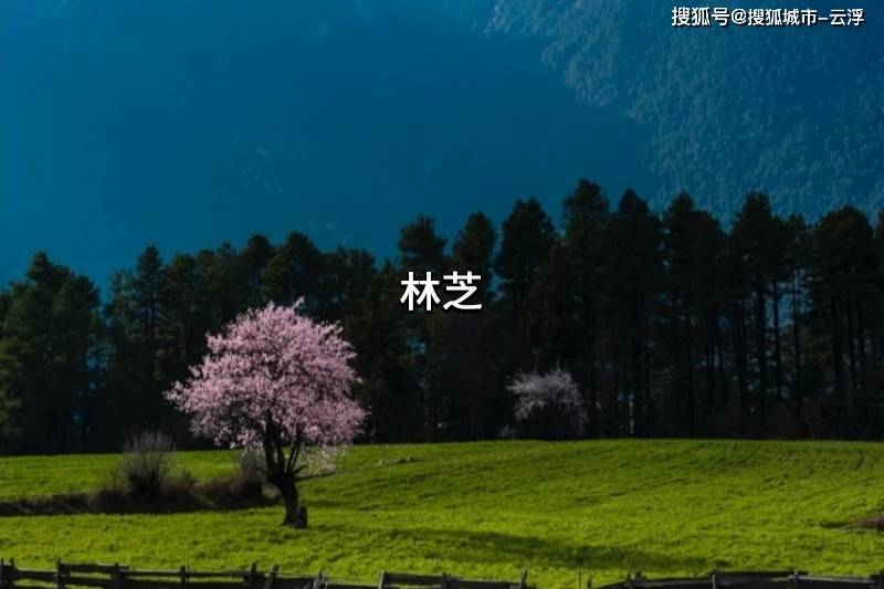 拉萨正规的导游如何联系？正规的西藏七日游跟团攻略