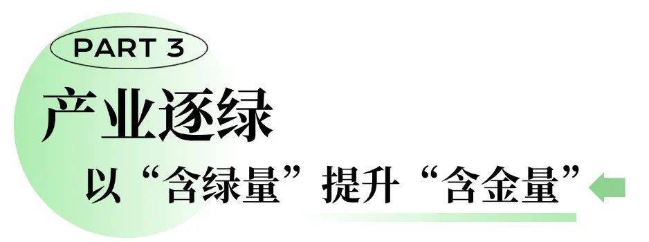 在开发区，“逐绿”有多少种方式？