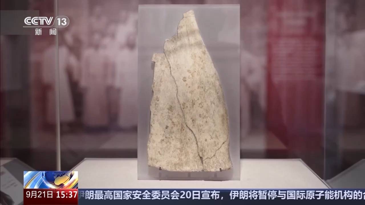 校馆弦歌丨考古学界的“北大模式”如何薪火相传?