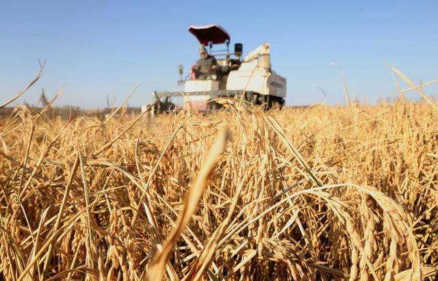 决胜“十四五”打好收官战丨东北绘就振兴新图景