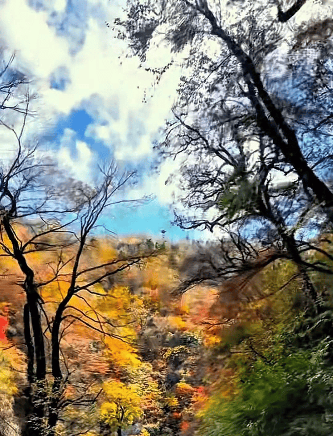 人上了年纪就把50%的积蓄变成对生活的“投资”:投资健康、投资家庭、投资热爱
