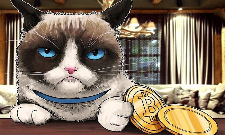 火币网上市(火币网交易平台官网登入口)