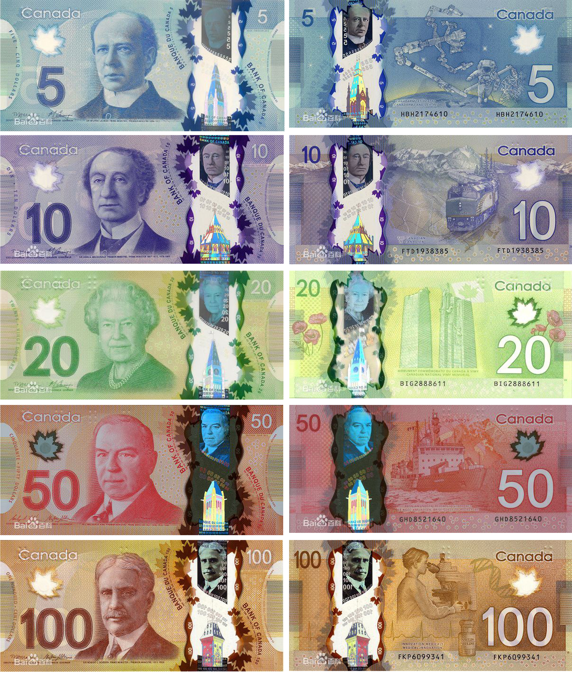 加拿大货币符号(加拿大货币符号和美元区别)