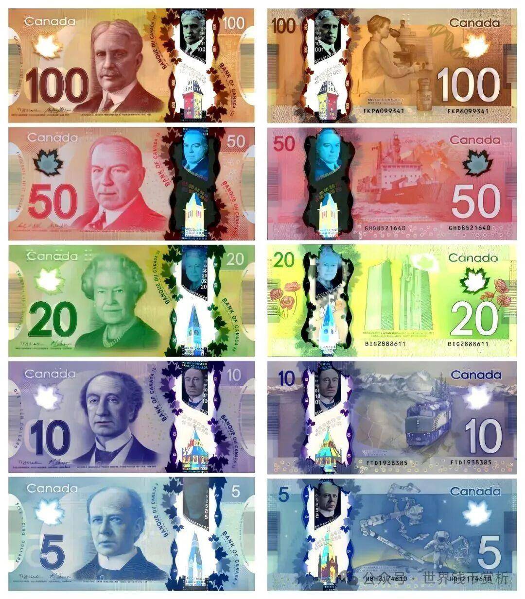 全球交易货币(全球交易货币排行前10名最新)